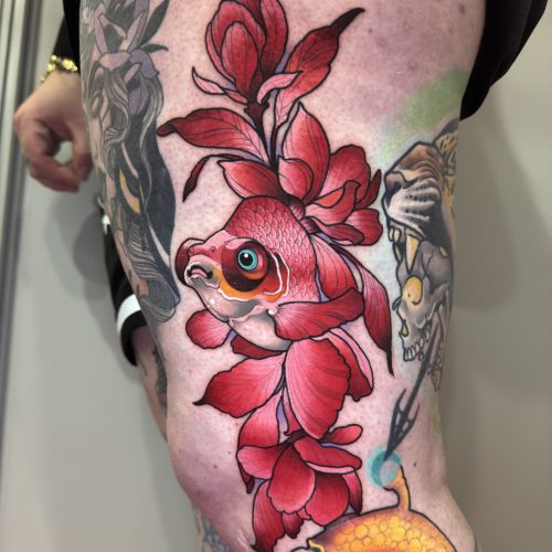 20250419_192246455_iOS