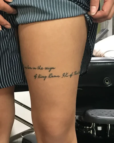 COVER UP TIGRE ANRES EVO