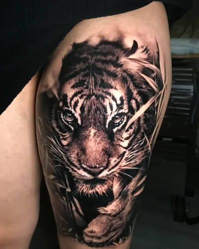 COVER UP TIGRE DESPUES EVO