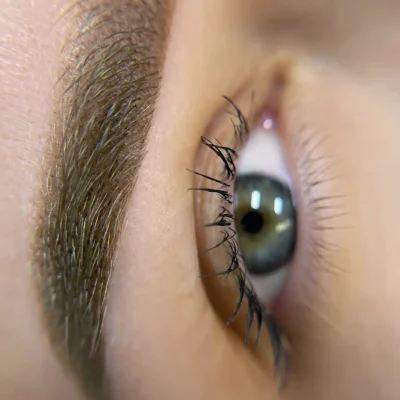 Micropigmentacion cejas