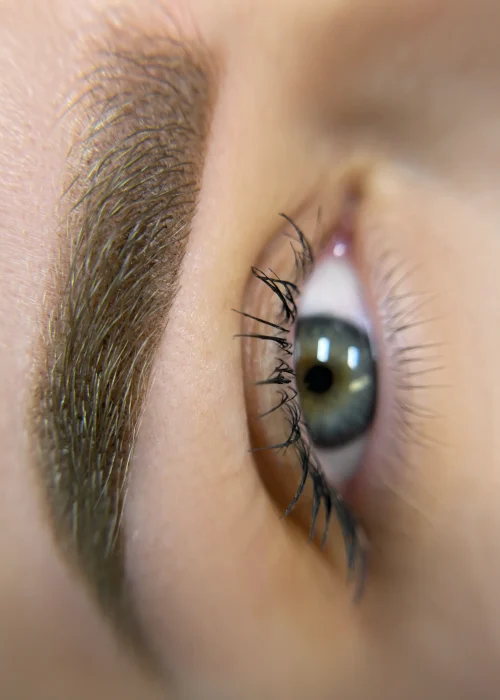 vira micropigmentación cejas 4