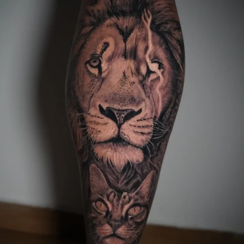 LEON-REALISTA-CURADO-DAVID-scaled