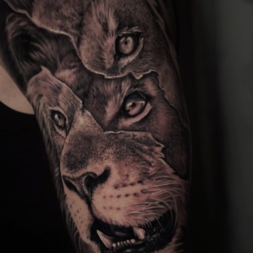 tatuaje realista de unos leones