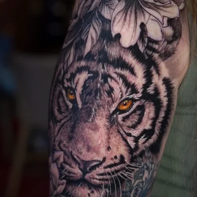 REALISMO-TIGRE-EVO (1)