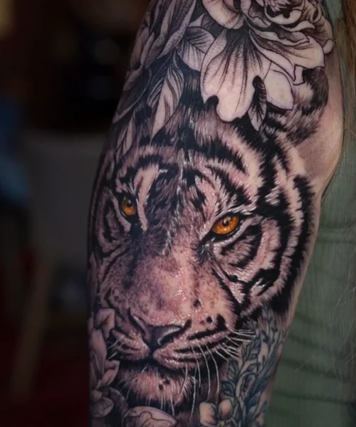 REALISMO-TIGRE-EVO (1)