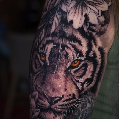 REALISMO TIGRE EVO