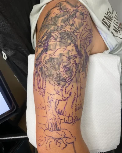 STENCIL COVER UP LEONES EVO