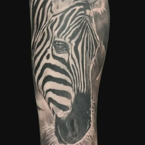 Tatuaje realismo cebra