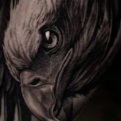 Tatuaje realista de un águila