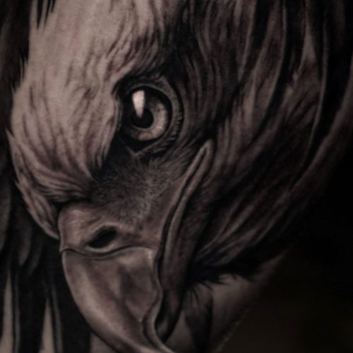 Tatuaje de una águila